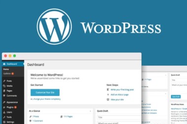 Wordpress - Backend Beispiel 1